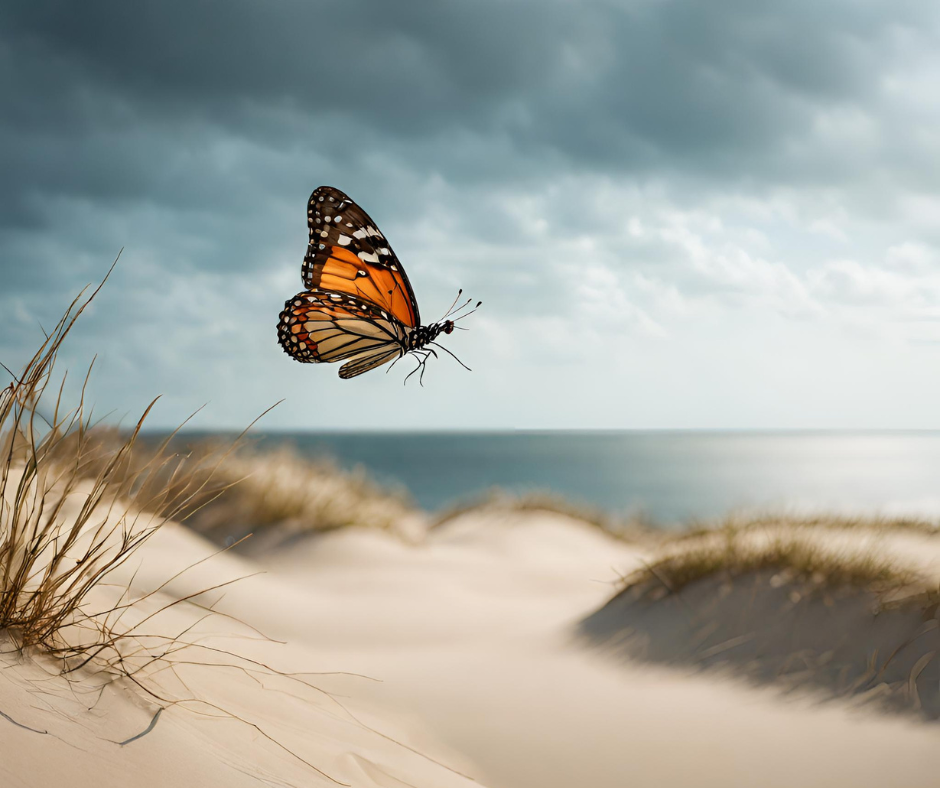 Seances hypnose gratuite en ligne Delta Therapie Bassin Arcachon - transformation